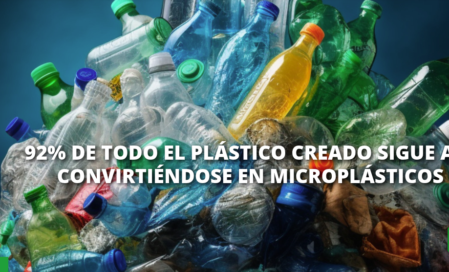Diagrama Neutralidad Plástica Petgas